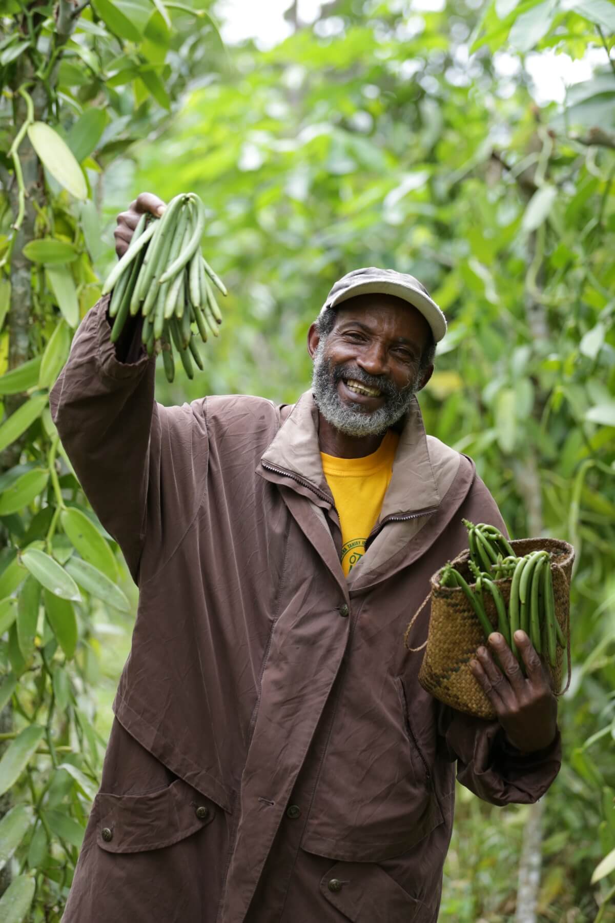 La route des épices