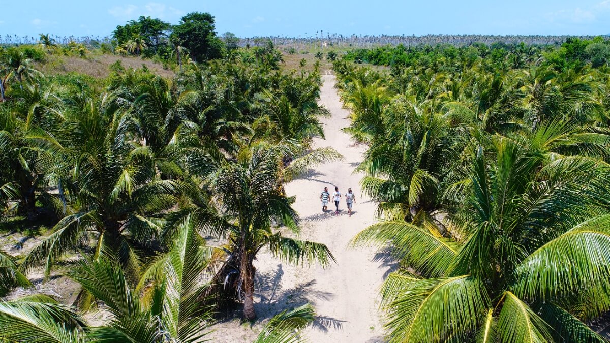 La SAVA dans toute sa richesse