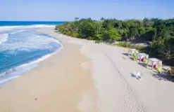 Travel to the heart of an exceptional region, nestled between sea, forest, and mountains.