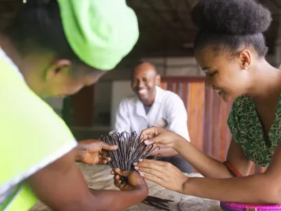 Cap sur la Côte Vanille
