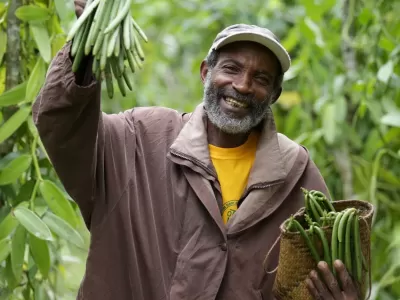 La route des épices